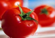 Tomato-shielding benefits