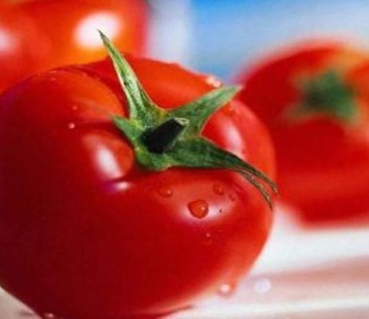 Tomato-shielding benefits