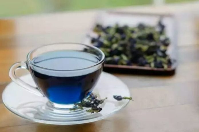 blue tea pine ke fayde