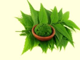 uses of neem