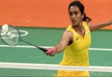 Pb sindhu