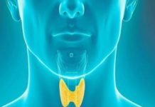 Thyroid