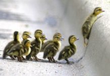 निकलोगे तभी तो जानोगे struggle