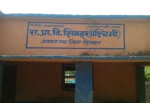 State primary school Shivar