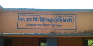 State primary school Shivar
