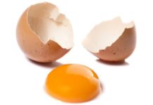 Egg
