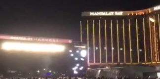 Lose Vegas