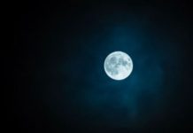 Sharad Purnima