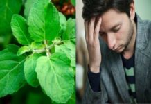 Tulsi Se hone wali hani