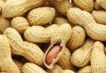peanut