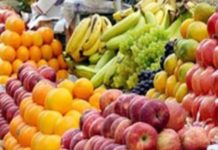Fruits
