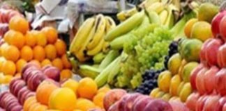 Fruits