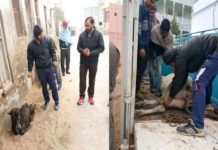 Hindu sanghathan save a cow in rajgarh