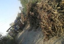 shri mau accident
