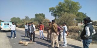 Deer found dead in suspicious condition on the road