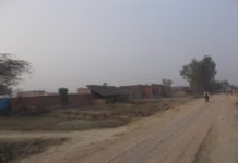Gram Pradhan's earning