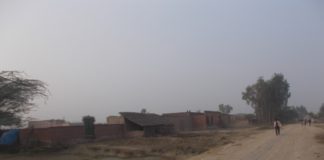 Gram Pradhan's earning