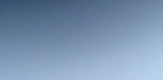 Makar Sankranti