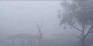 fogg in sheohar city