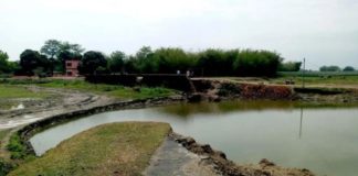 garbage Road in kishanganj