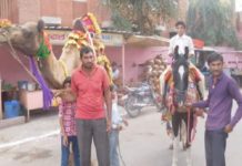 राजगढ़ में निकली गणगौरी तीज की सवारी