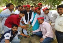 Planting by SP workers