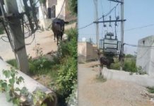 this TransFormer may be harmful for villagers