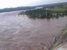 मध्य प्रदेश में भारी बारिश से कूनो नदी ने खेला मौत का खेल