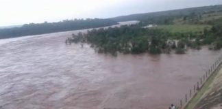 मध्य प्रदेश में भारी बारिश से कूनो नदी ने खेला मौत का खेल